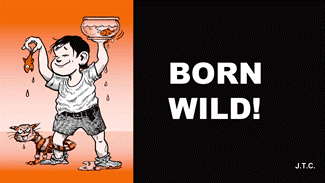 Born Wild!
